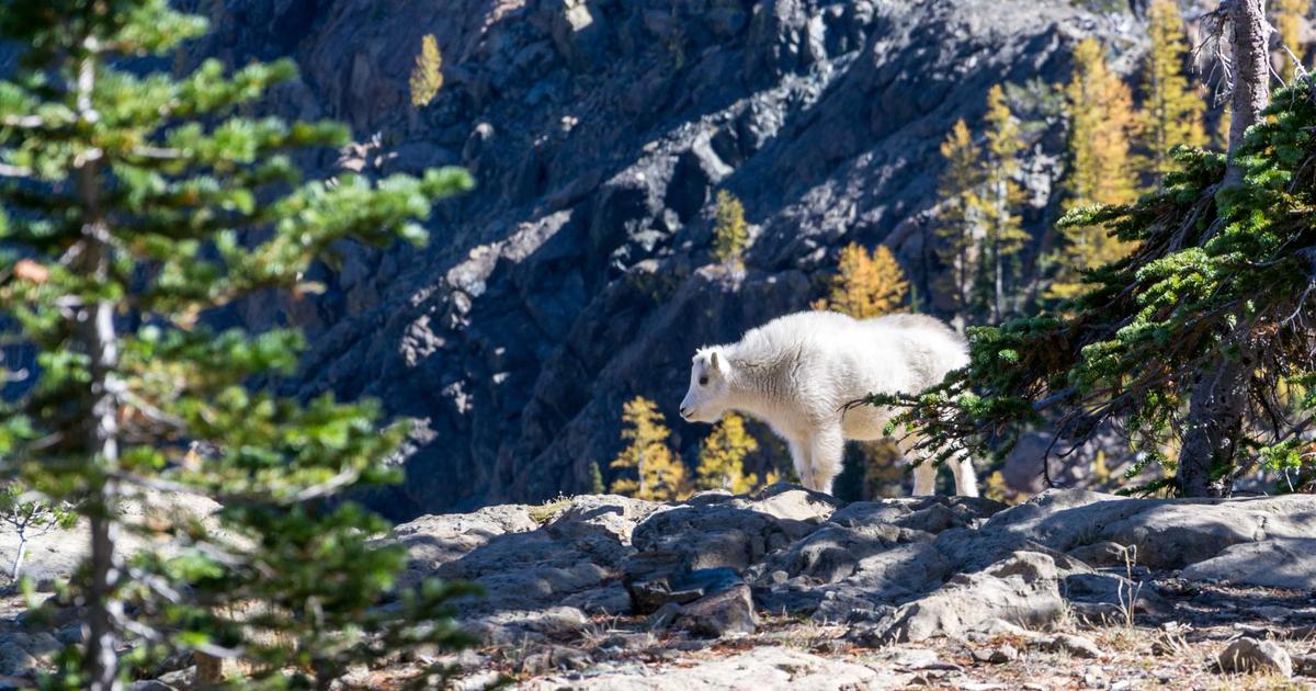 Cách ứng dụng AI để tăng hiệu suất làm việc X5 lần