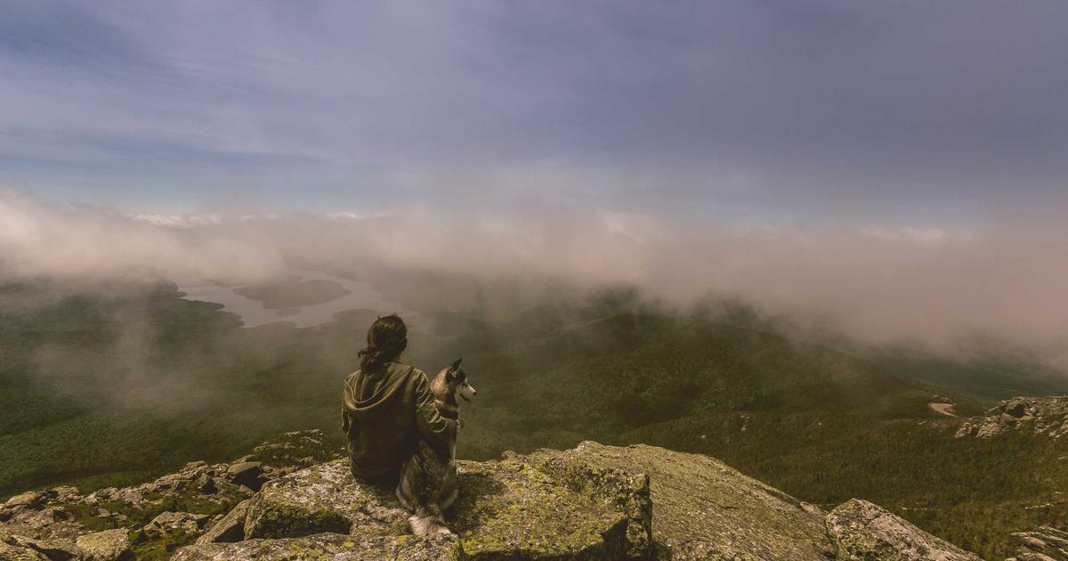 Nhượng quyền thương hiệu: Phân tích chuyên sâu về Cơ hội, Rủi ro và Lộ trình thành công