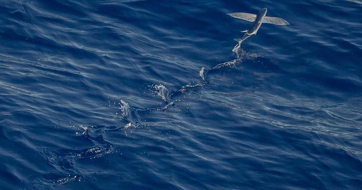 Tư duy Lean (Tinh gọn) - Chìa khóa tối ưu chi phí cho SME