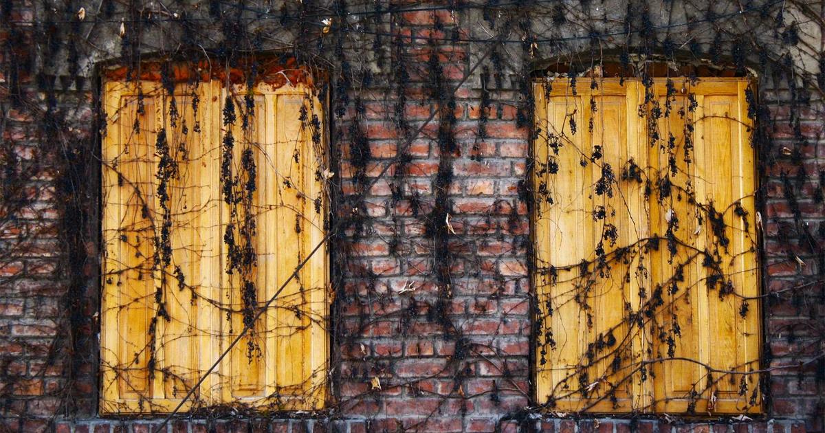 Xây dựng văn hóa doanh nghiệp từ những ngày đầu khởi nghiệp